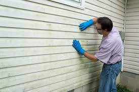 Best Storm Damage Siding Repair  in Safford, AZ